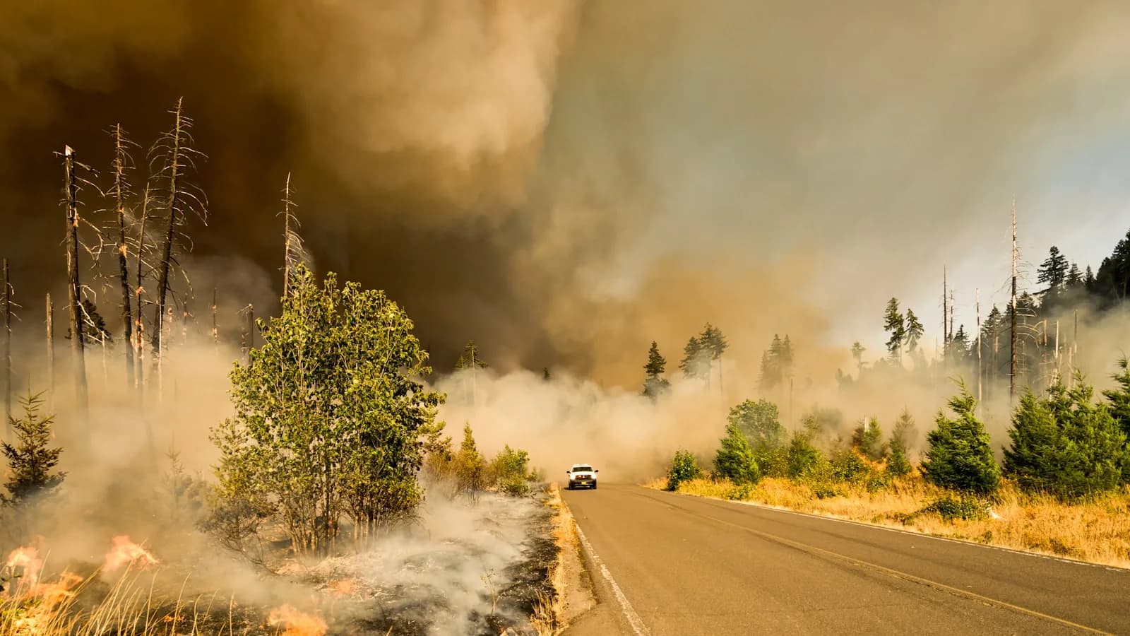Car on a road beside smoke and flames during a forest fire